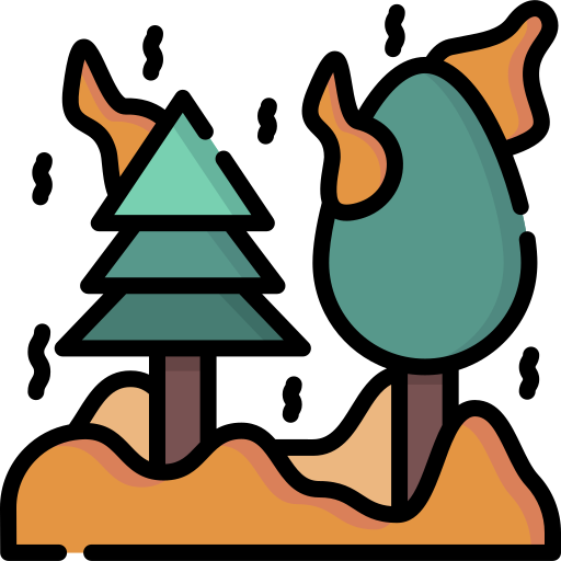 Лесной пожар Special Lineal color иконка