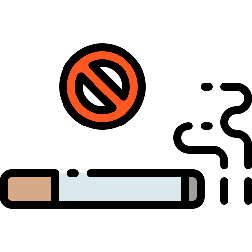no fumar Generic Outline Color icono