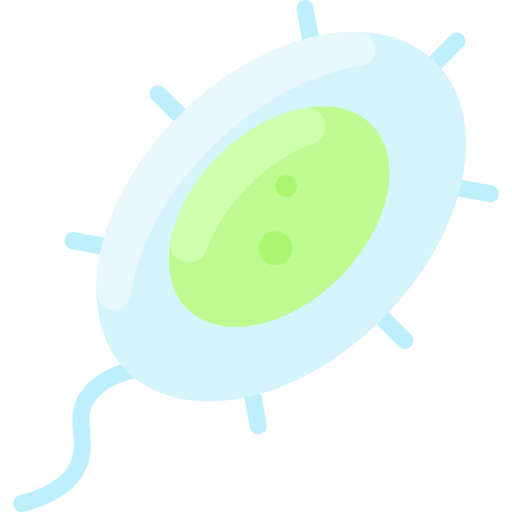 Bacteria Vitaliy Gorbachev Flat icon
