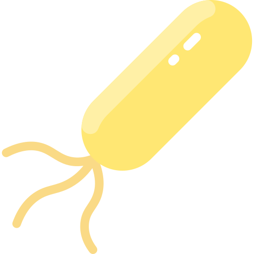 細菌 Vitaliy Gorbachev Flat icon
