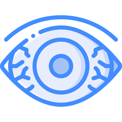Eye Basic Miscellany Blue icon
