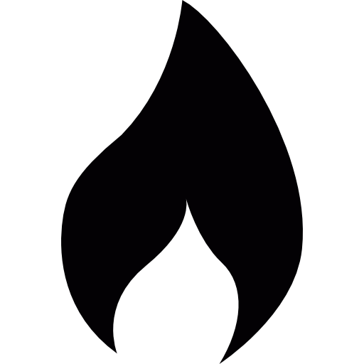 vlam  icoon