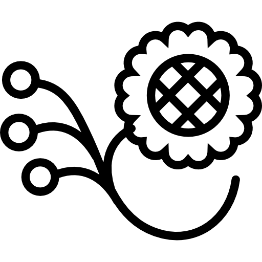 One flower on a branch with three seeds  icon