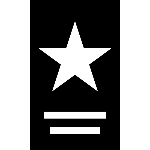 星付きのチラシ印刷  icon