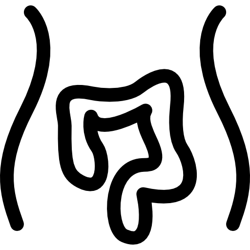 intestins  Icône