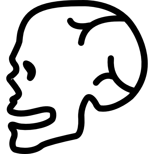 Human skull side view  icon