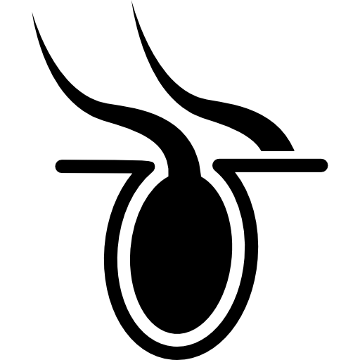 모낭  icon