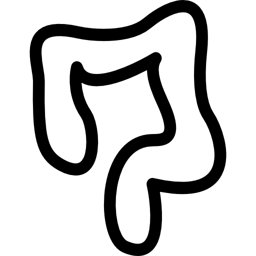 Large intestines outline  icon