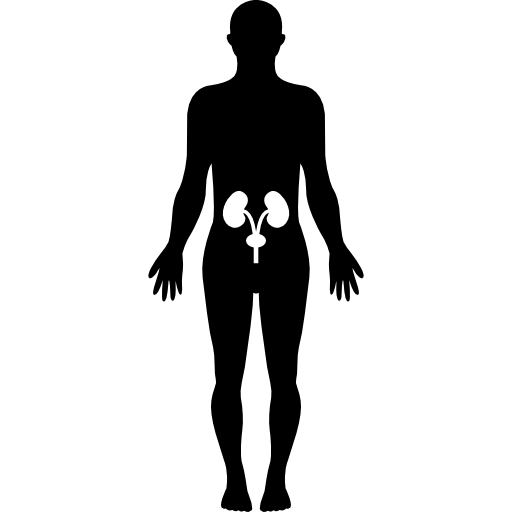 menselijke heupen botten in een staand mannelijk lichaam zwart silhouet  icoon