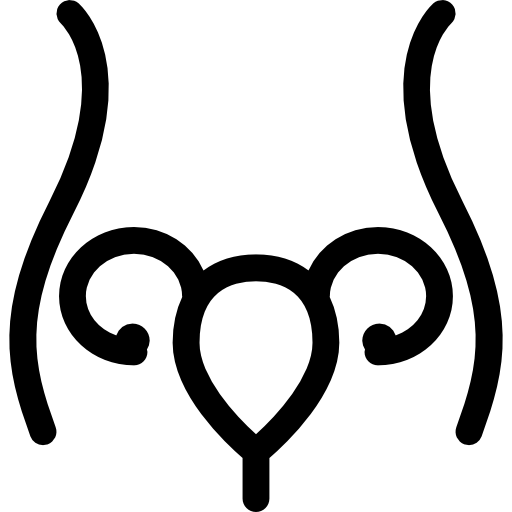 utérus et trompe de fallope à l'intérieur du contour du corps de la femme  Icône