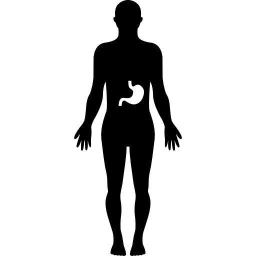 estómago dentro del cuerpo humano  icono
