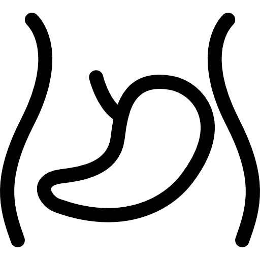 腹部の輪郭内の肝臓器官  icon