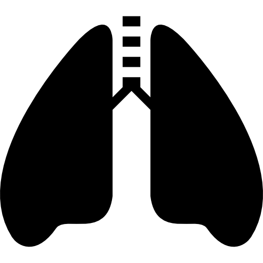 pulmões com traqueia  Ícone