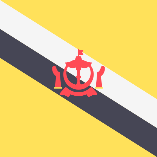 Brunei Flags Square icon