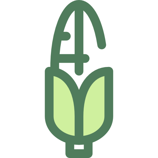 Épi de maïs Monochrome Green Icône