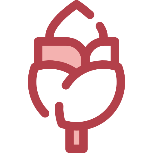 alcachofa Monochrome Red icono