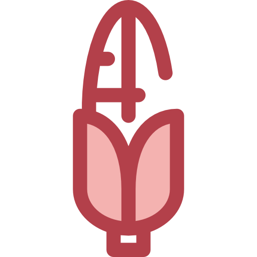 Corncob Monochrome Red icon