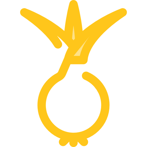 oignon Monochrome Yellow Icône