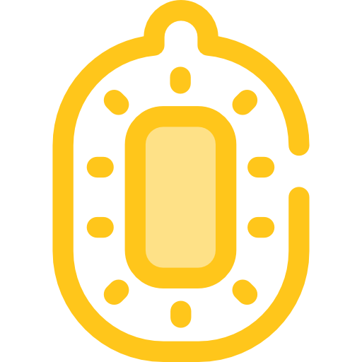 키위 Monochrome Yellow icon