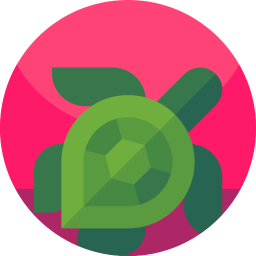 Turtle Geometric Flat Circular Flat icon