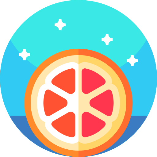 Grapefruit Geometric Flat Circular Flat icon