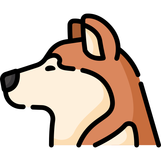 akita inu Special Lineal color icon