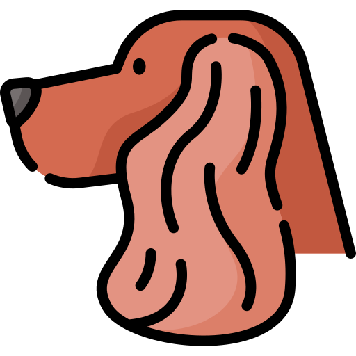 cocker spaniel Special Lineal color icon