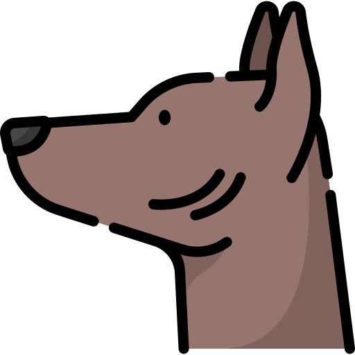 xoloitzcuintle Special Lineal color icon