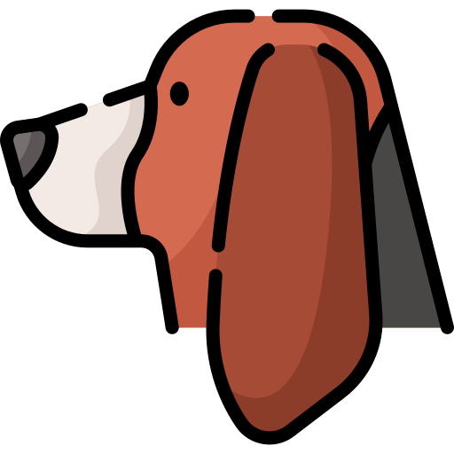 basset hound Special Lineal color icono