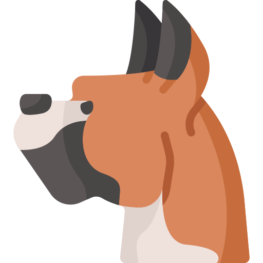 boxer Special Flat icon