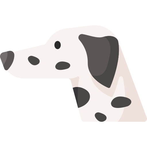 Dalmatian Special Flat icon