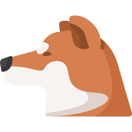 柴犬 Special Flat icon