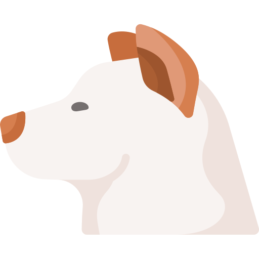 紀州犬 Special Flat icon