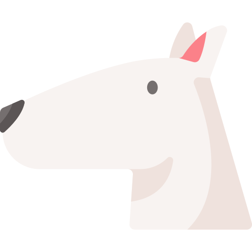 bull terrier Special Flat icona