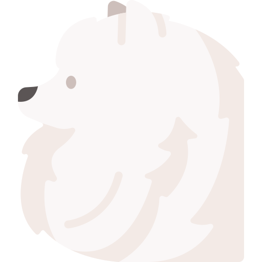 Pomeranian Special Flat icon