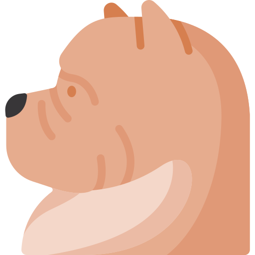 Chow chow Special Flat icon