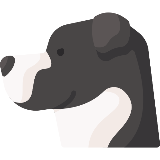 pitbull Special Flat icona