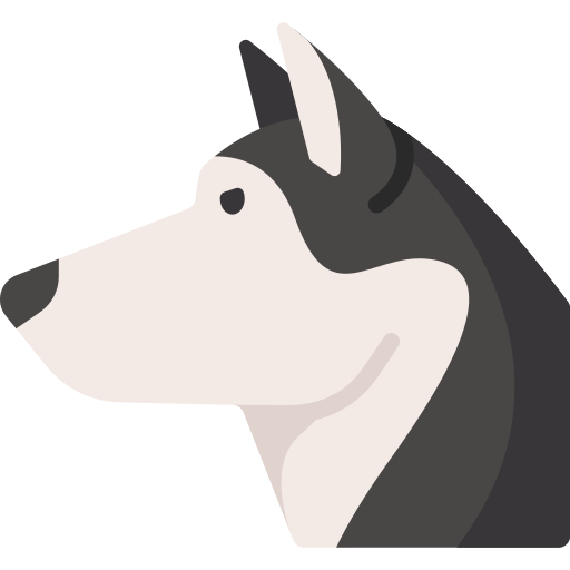 siberische husky Special Flat icoon
