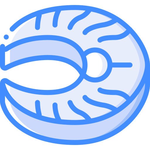 salmón Basic Miscellany Blue icono