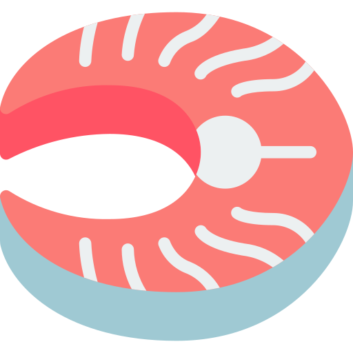 Salmon Basic Miscellany Flat icon