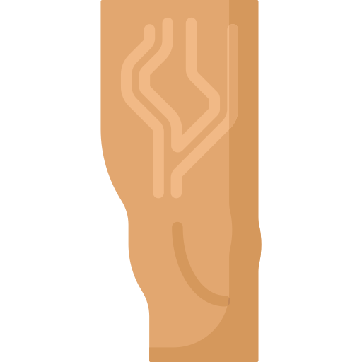 Varicose veins Special Flat icon