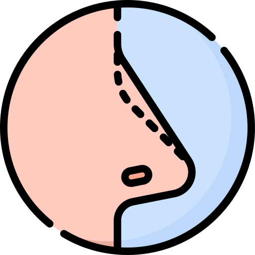 nariz Special Lineal color icono