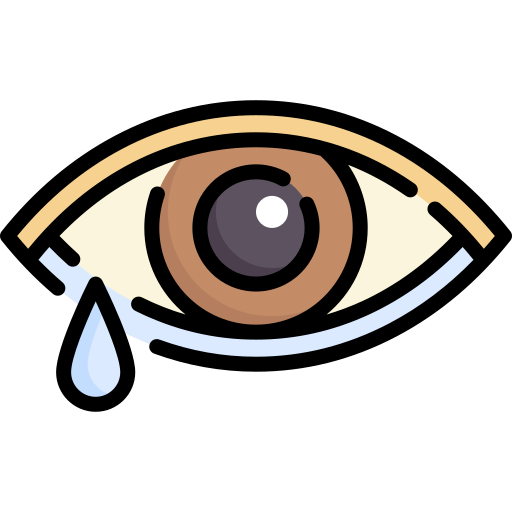 ojo Special Lineal color icono