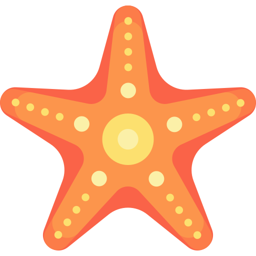 Морская звезда Special Flat иконка