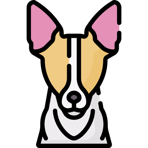 Fox terrier Special Lineal color icon