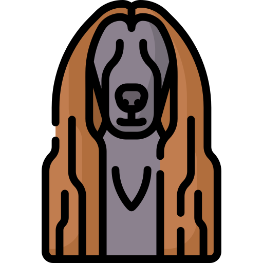 Afghan hound Special Lineal color icon