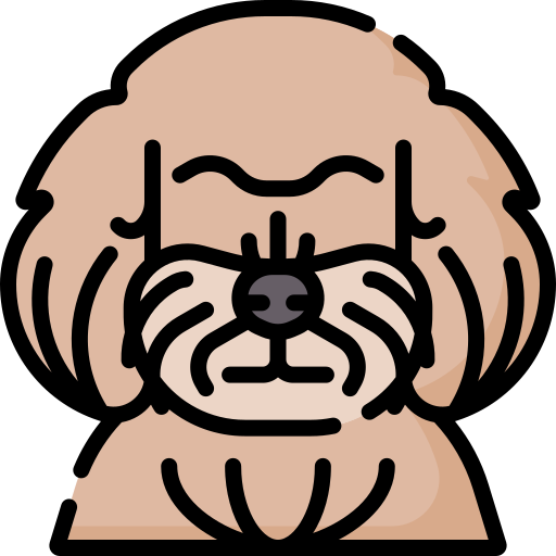 Bolognese dog Special Lineal color icon
