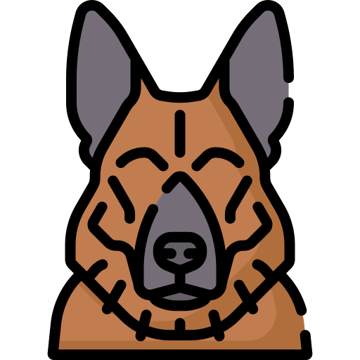 deutscher schäferhund Special Lineal color icon