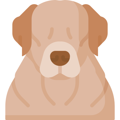 labrador retriever Special Flat ikona