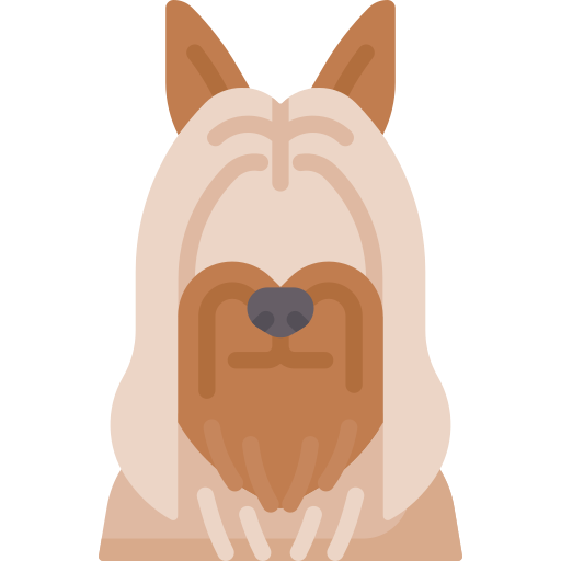Silky terrier Special Flat icon